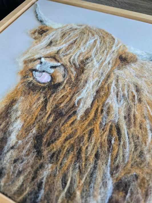 Lipsmacking tasty - Highland Cow