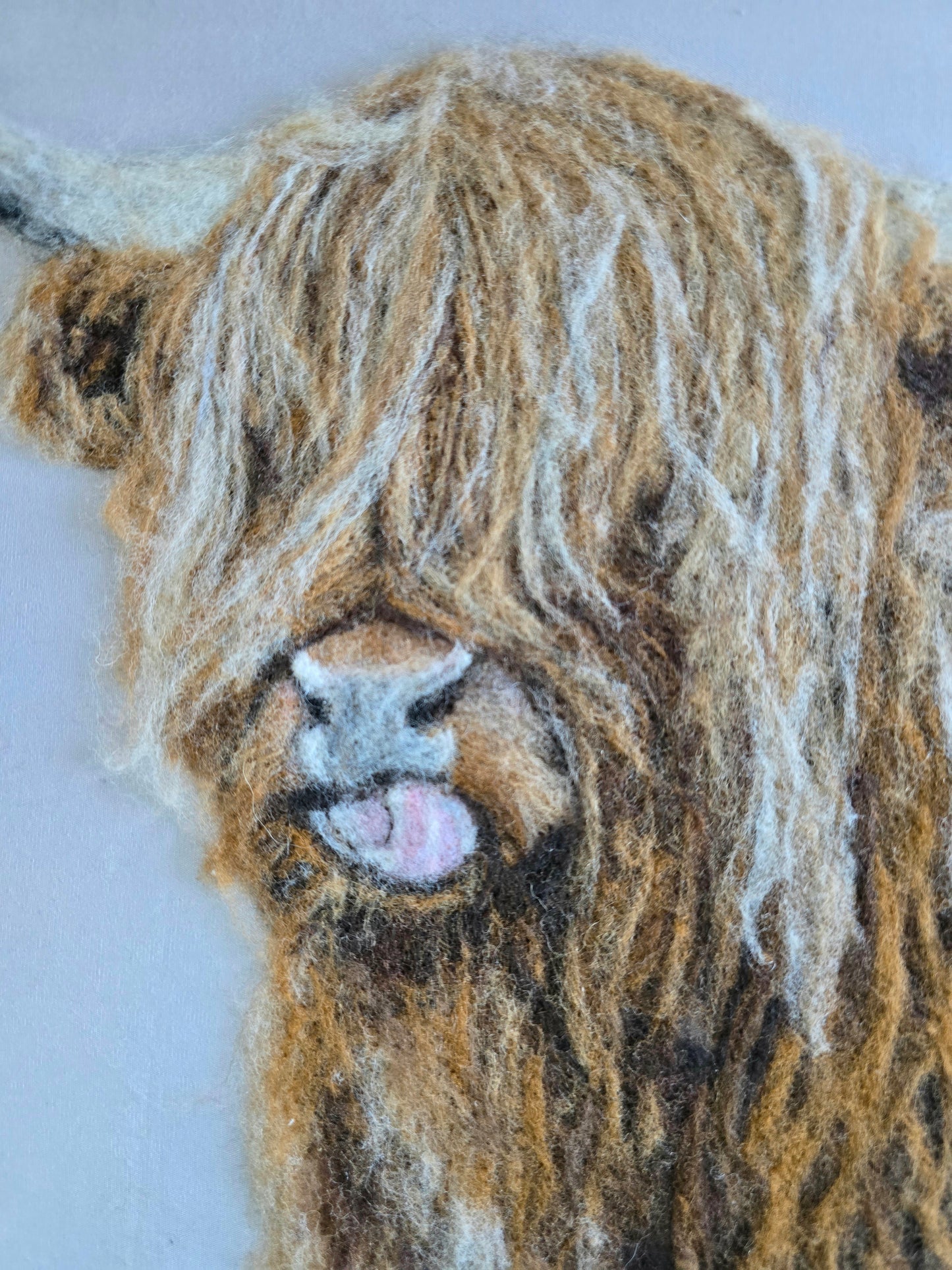 Lipsmacking tasty - Highland Cow