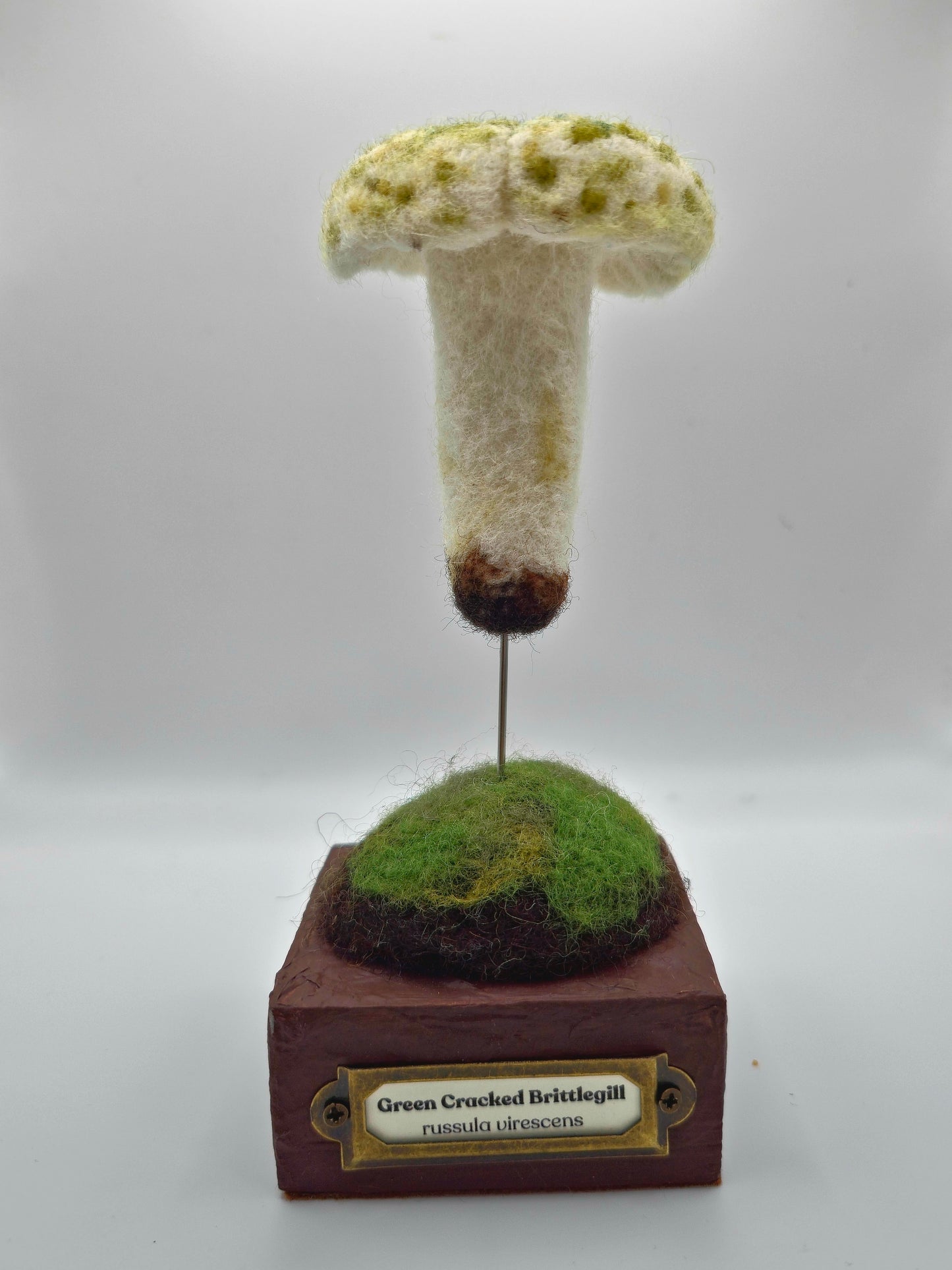 Model of a green cracked brittlegill mushroom on a wooden base with a label.