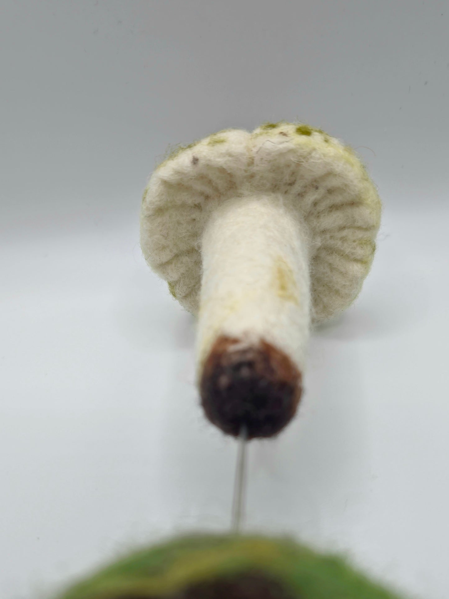 Needle felted mushroom on a white background