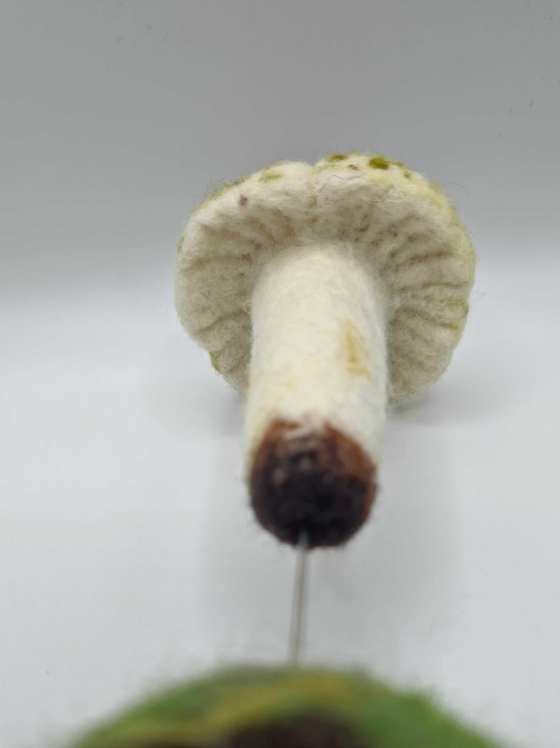 Needle felted mushroom on a white background