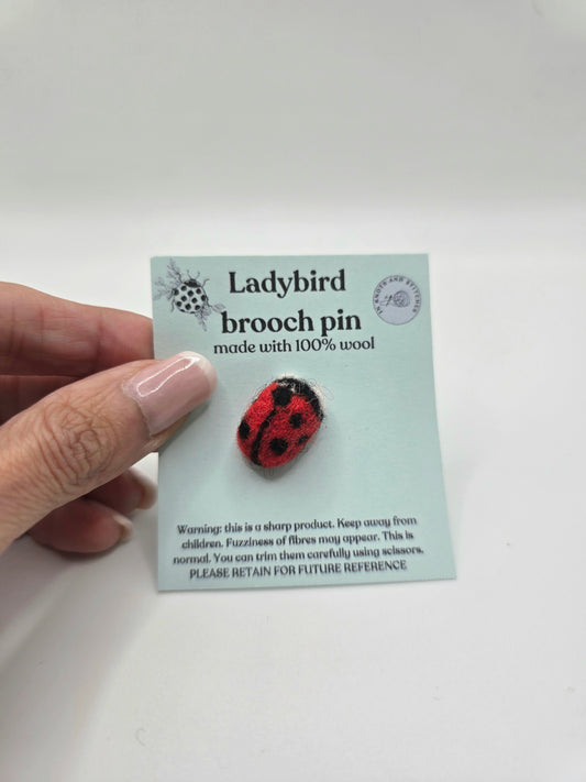 Hand holding a ladybird brooch pin on a card with text